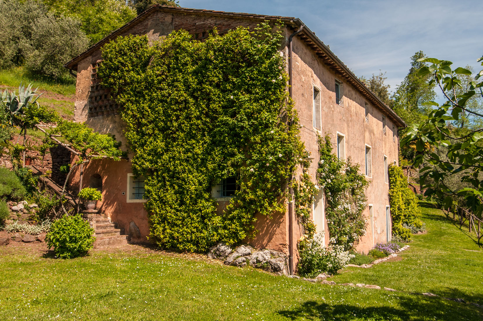 Damiano in Tuscany