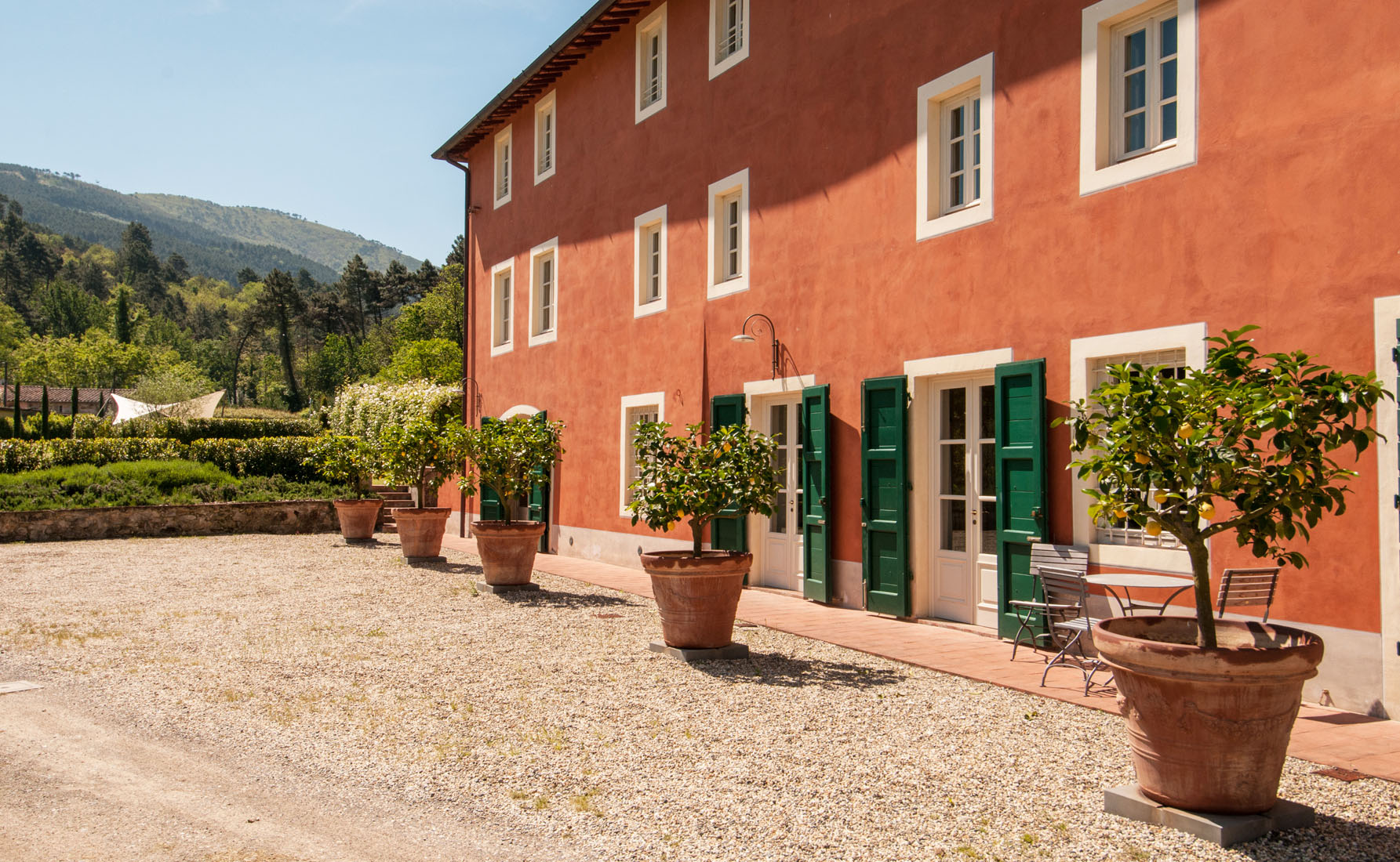 Flora in Tuscany