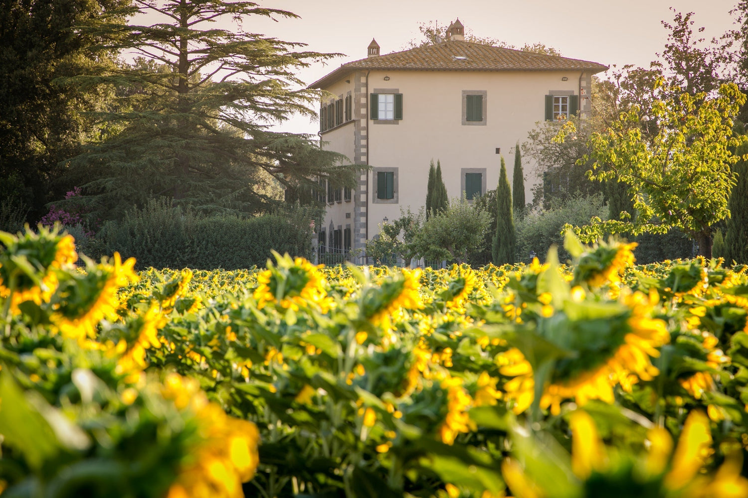 Where to Stay in Tuscany: Chianti, Val d’Orcia, Lucca, or Cortona?
