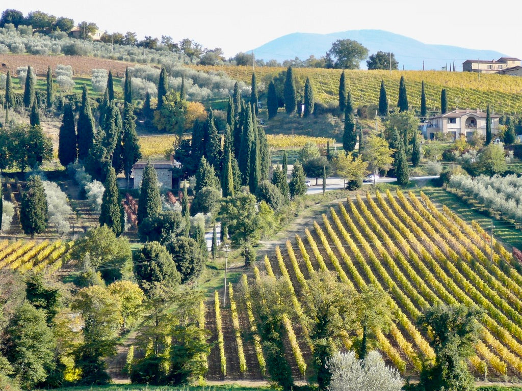 Celebrating Italian Excellence: Classicvacationrental.com Featured in the Vancouver Sun