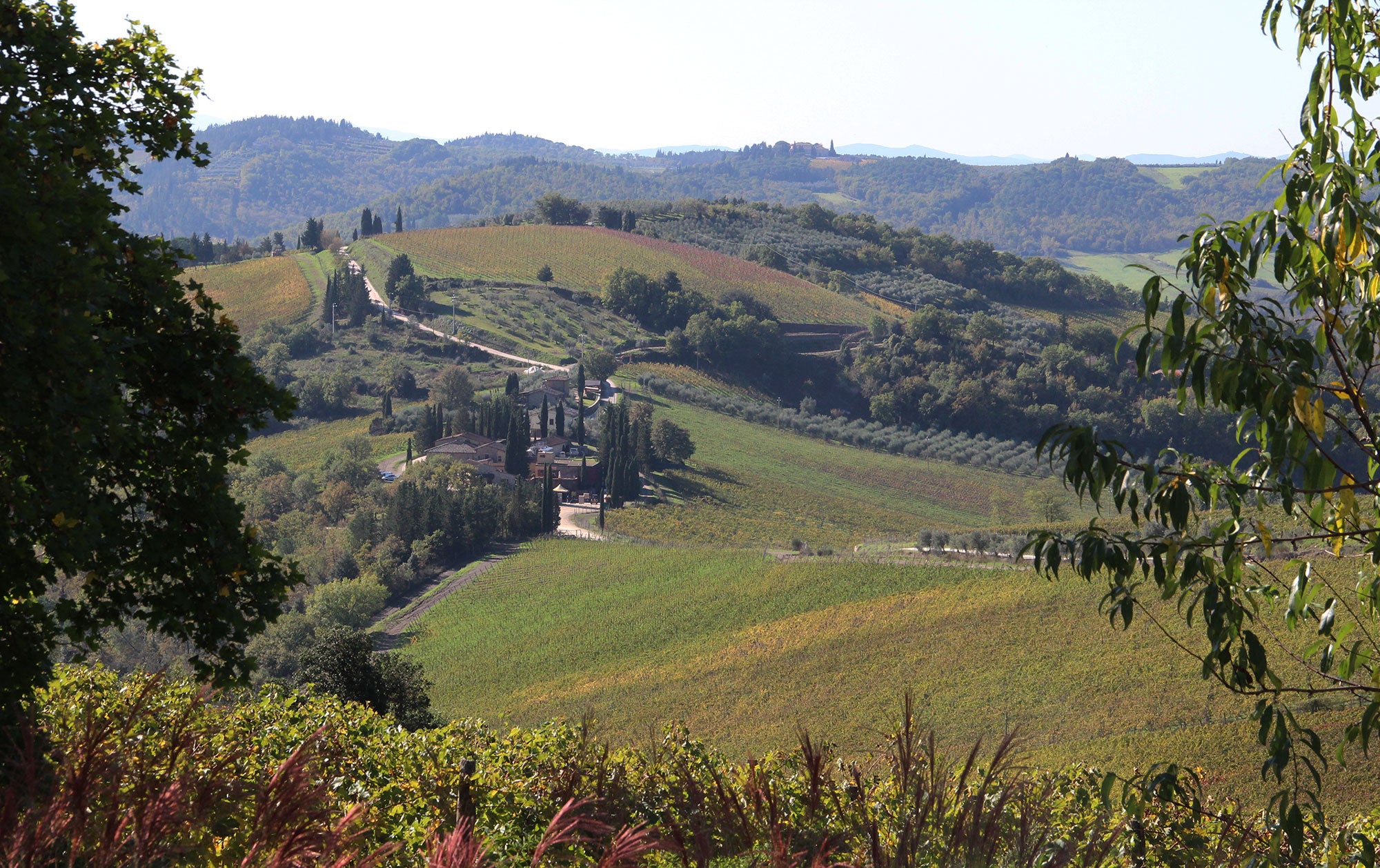CentoTrentaCinque - Chianti, villa  7 bedrooms sleeps up to 14