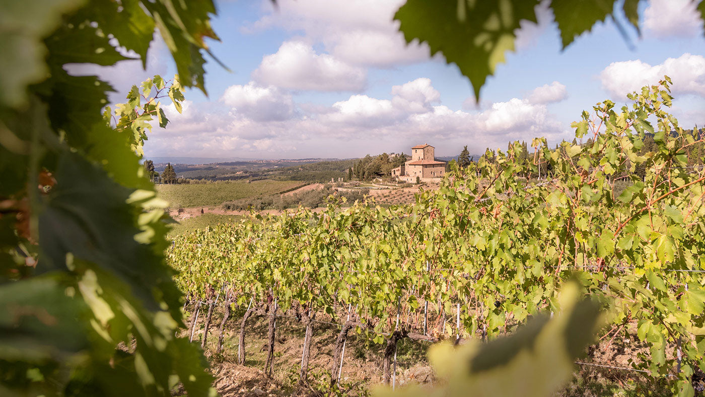 CentoCinquanta - luxury villa in Chianti, sleeps up to 16