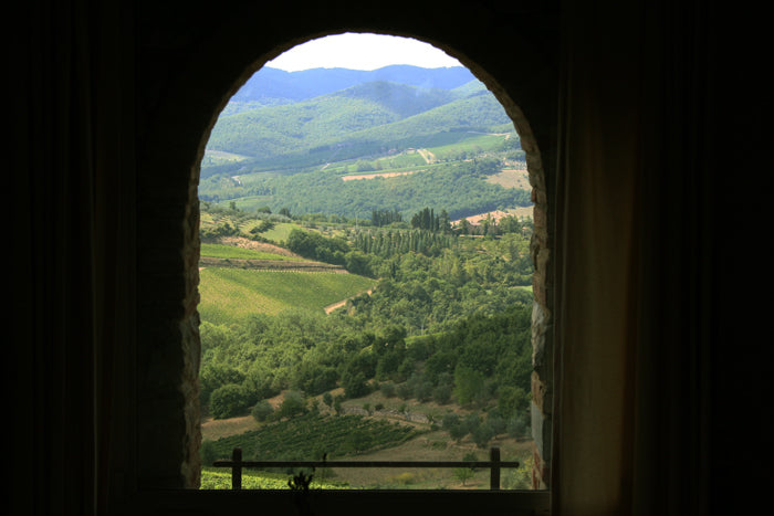 VentiUno - Chianti wine estate - sleeps 4