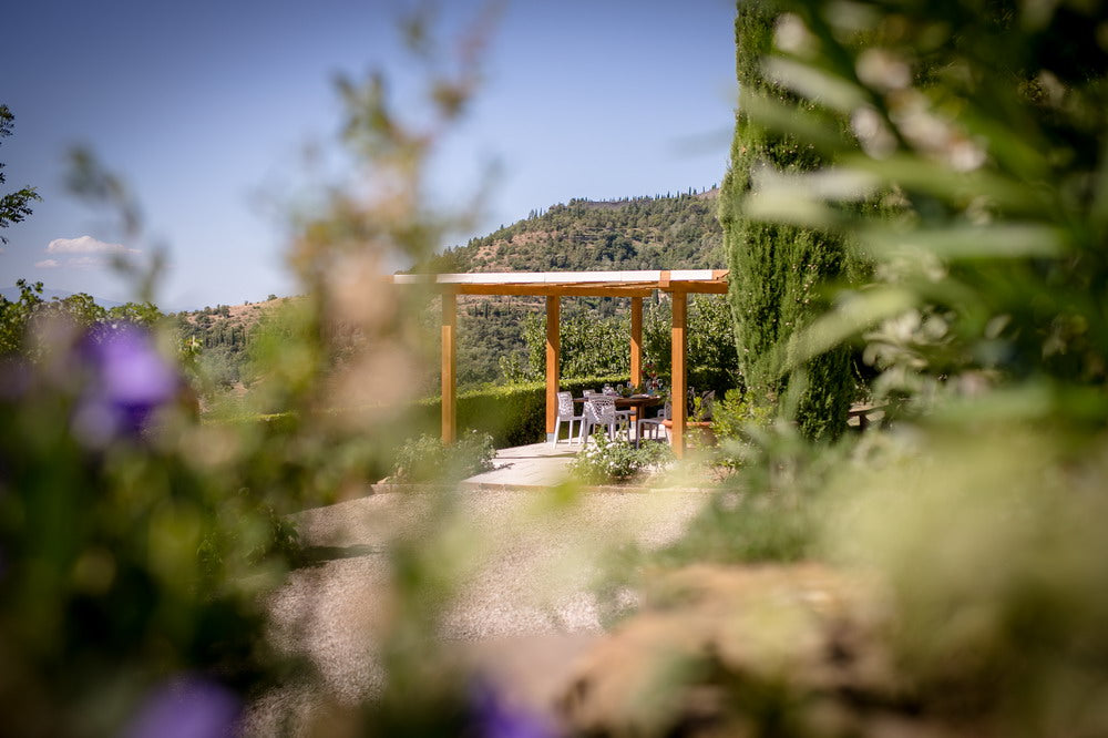 Casa Cerisier - luxury villa sleeps up to 8