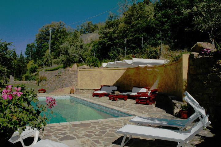 Casa Cerisier - luxury villa sleeps up to 8