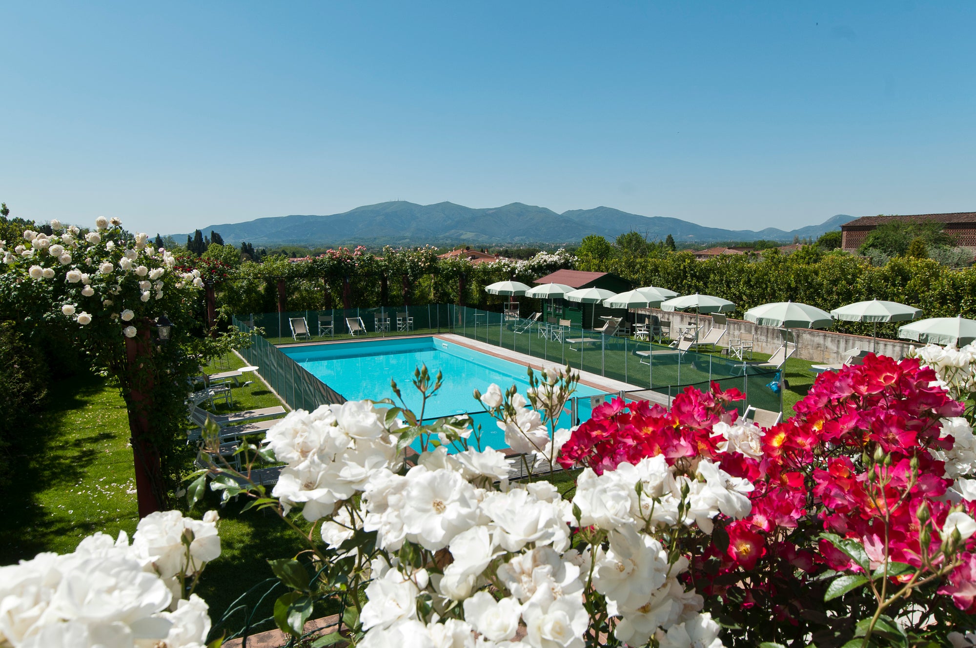 Villa Rosa di Daniela - lovely Lucca villa  - 16 bedrooms - sleeps up to 32