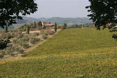 Venti  - Chianti wine estate - sleeps up to 8