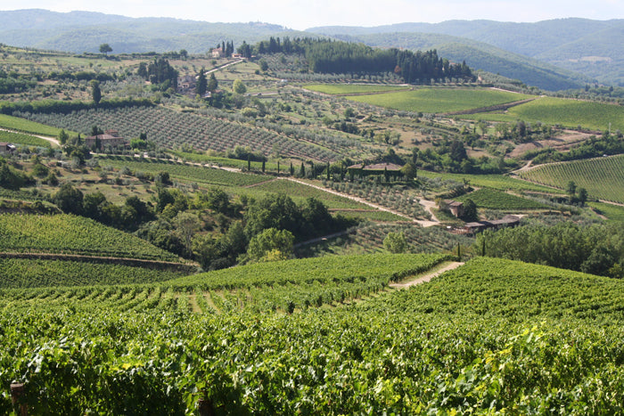 VentiTre - Chianti wine estate - sleeps up to 8