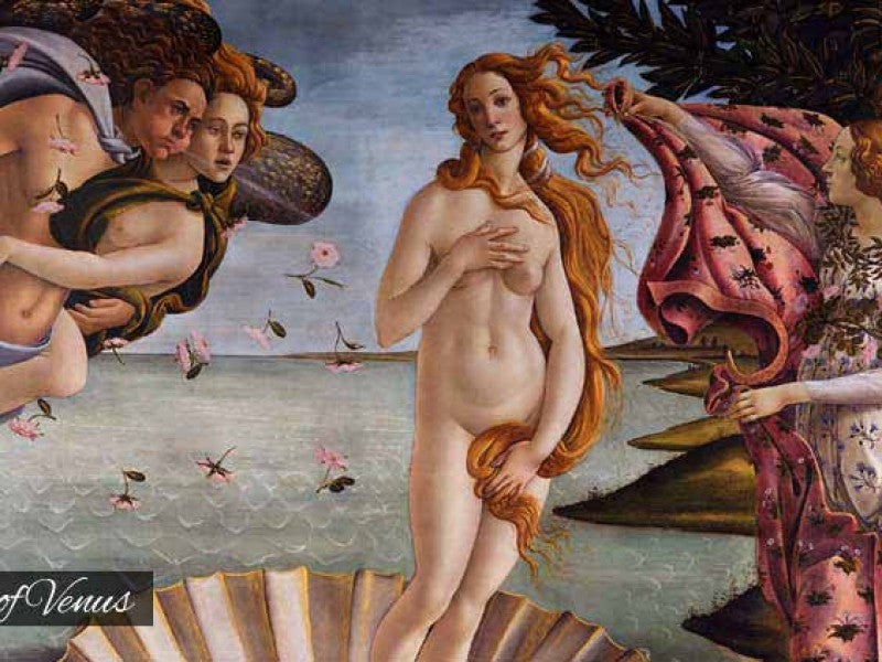 Florence - Introduction to Florence including Uffizi