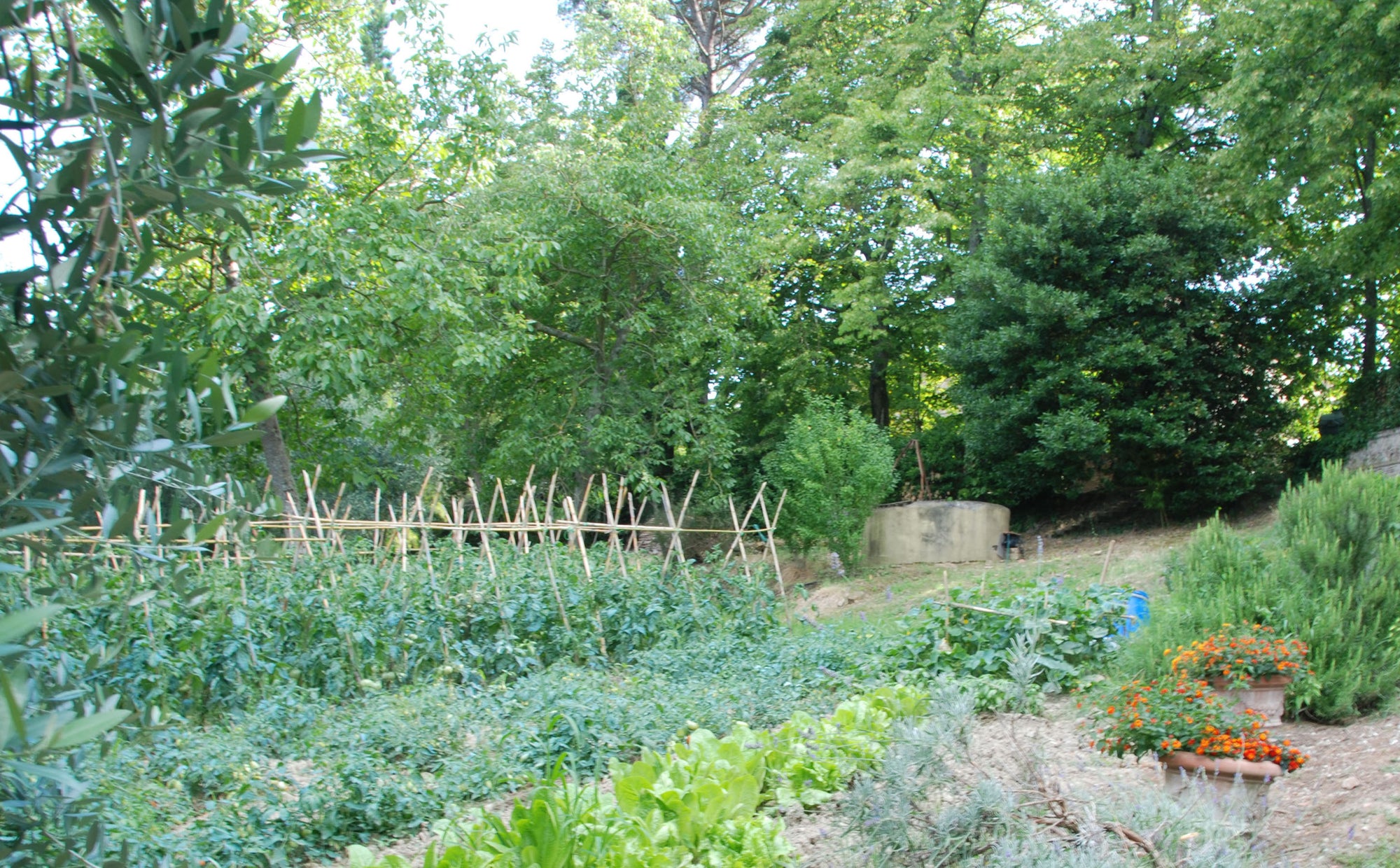 Montelopio - Tuscan villa sleeps up to 9, 5 bedrooms, 5 bathrooms